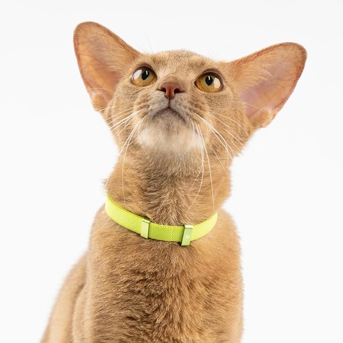 Safety Cat Collar - U.S. IDA Gold Awarding Design, Elastic Quick Release, Non Breakaway - Lightweight for Kitten, Neck Fit 7.8'-15.7' for All Small Large Cat,M(Blush Pink)