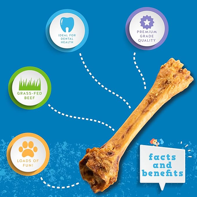 Jack&Pup 8-11” Shin Bones, Roasted Meaty Beef Bone for Dogs – Long Lasting Natural Dog Bones, Big Dog Bone for Large Dogs (1 Pack)