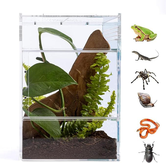 Acrylic Jumping Spider Habitat, Insect Terrarium, for Spiders, Tarantulas, Snail, Mantis, Lizard, and Small Reptiles, with Two Magnetic Doors and one Feeding Trough (6x6x9 inch)