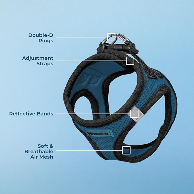 Best Pet Supplies Voyager Step-in Air Harness - All Weather Mesh, Reflective, No Pull Harness for Dogs, Cats - Secure with Hook & Loop Fastener, Buckle, Double D-Rings - Blue/Black Trim, XS