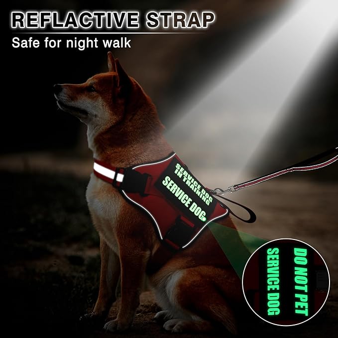 Service Dog Vest Harness and Leash Set+10 Patches,No Pull&Adjustable Reflective Dog Harness with Soft Padded Handle for Training/Everyday,Fit Small/Medium/Large/Extra-Large Dogs(Red XL)
