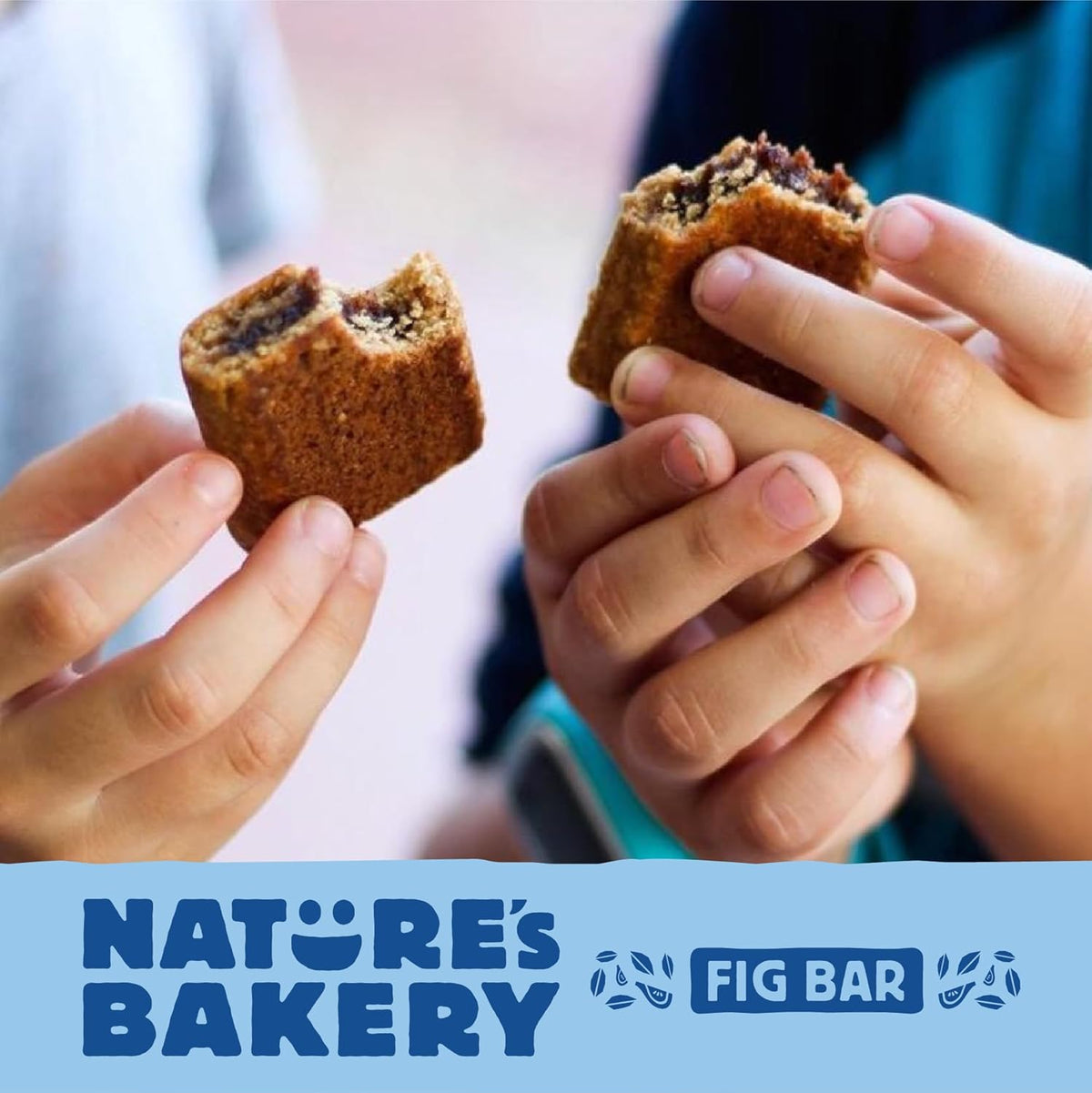 Nature's Bakery Blueberry Fig Bars, 2 Oz, 6 Ct