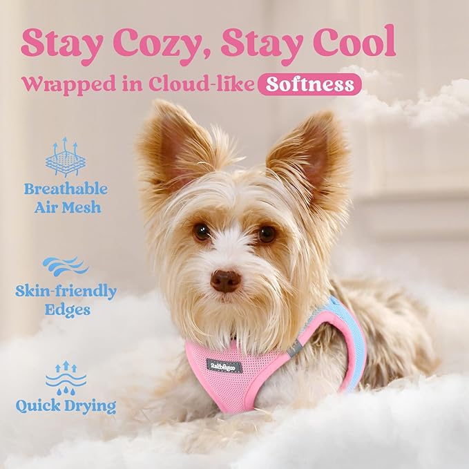 rabbitgoo Small Dog Harness, Step-in Soft Mesh Puppy Vest with Safety Buckle, Breathable Reflective Pet Harness for Extra Small Dogs, Blue & Light Pink XXXS