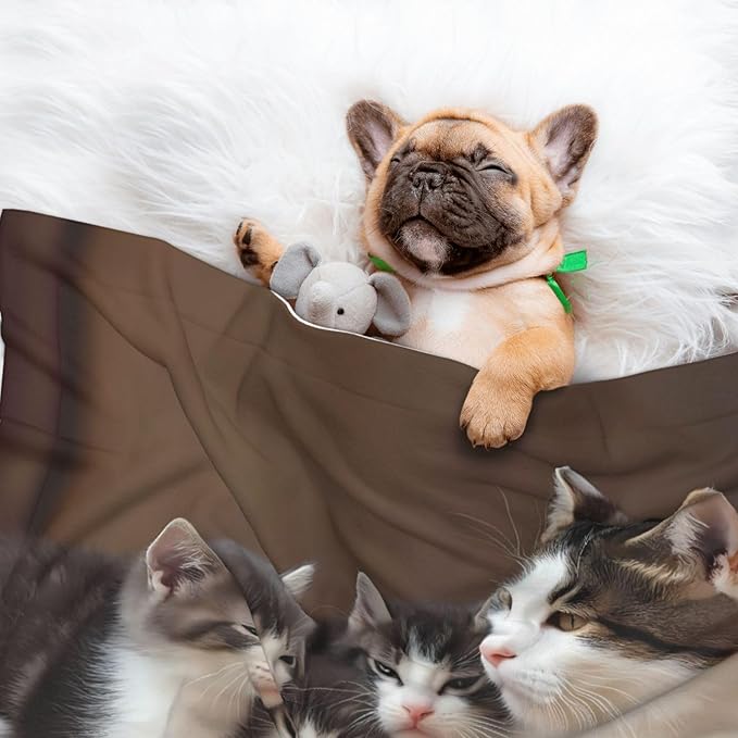 Cat Family Print Soft Plush Pet Blanket, Washable Dog Blanket, Cat Fleece Throw, Puppy Bed Crate Mat & Sofa Couch Protector - Medium