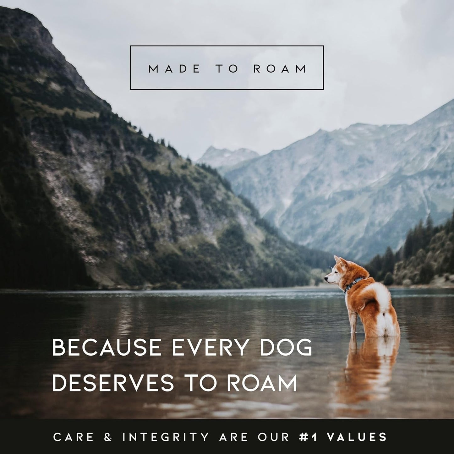 MADE TO ROAM Premium Explorer Harness - Y-Shaped Dog Harness with Adjustable Durable Nylon, Soft Padding, Metal Buckles and Leather Handle for Small, Medium, Large Dogs (Utah Glow, Size 7)