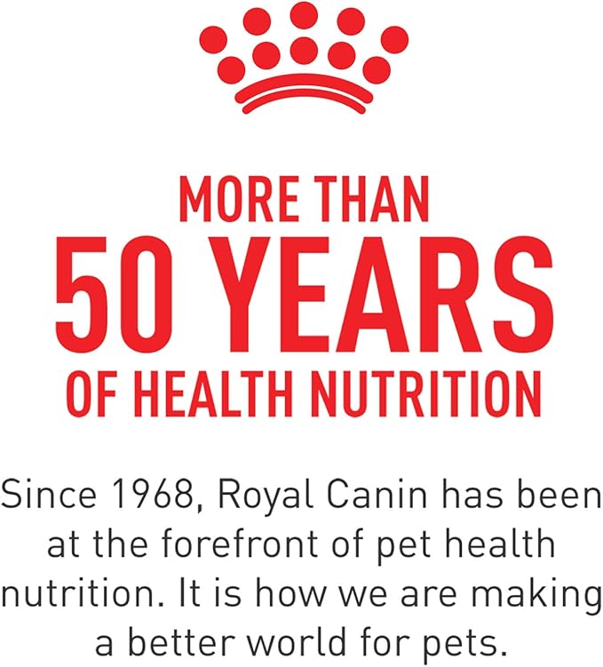 Royal Canin Feline Care Nutrition Digestive Care Loaf in Sauce Canned Cat Food, 5.1 oz can (24-count)