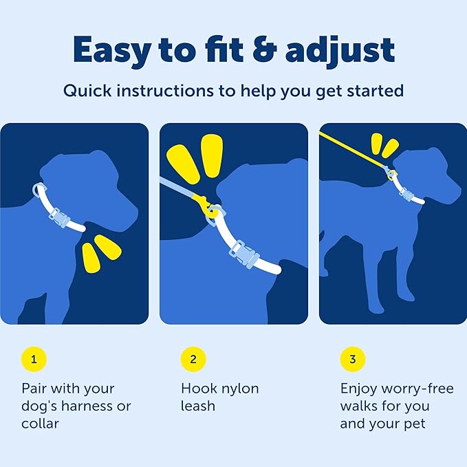 PetSafe Nylon Leash - Strong Nylon for Everyday Walks - Durable Pet Leash with Quick Attach Clip - Comfortable Soft Grip - 6 Feet - Royal Blue