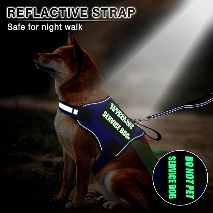 Service Dog Vest Harness and Leash Set+10 Patches,No Pull&Easy Walk Reflective Dog Harness with Soft Padded Handle for Training/Everyday,Fit Small/Medium/Large/Extra-Large Dogs (Blue M)