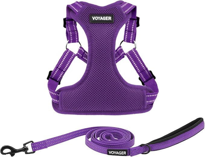 Best Pet Supplies Voyager Adjustable Step-in Flex Breathable Mesh Dog Harness for Small Medium Large Dogs Leash Set (Purple), L