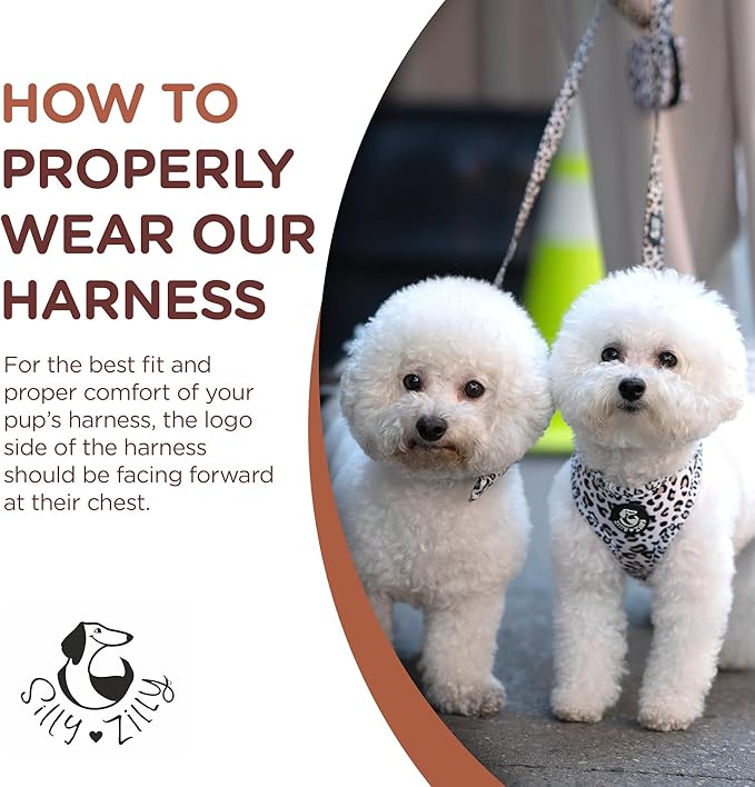 No Pull Harness and Leash Set - 6-in-1 Adjustable Vest Harness and Collars for Medium and Large Dogs. (Leopard, Extra Small)