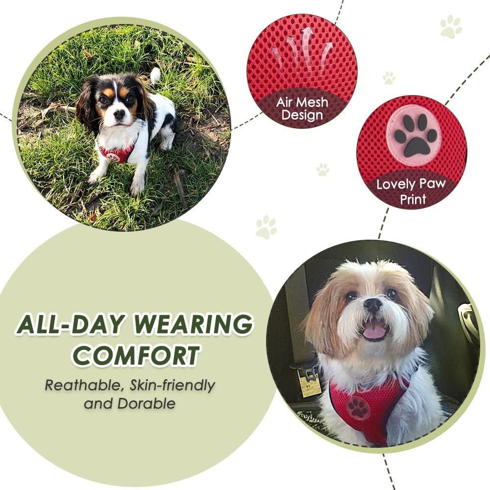 SlowTon Dog Seat Belt Harness for Car, Dog Car Harness Adjustable Mesh Breathable & Dog Seatbelt Safety Tether with Elastic Bungee for Small Medium Large Pets(Red, Double Clip, XXXS)