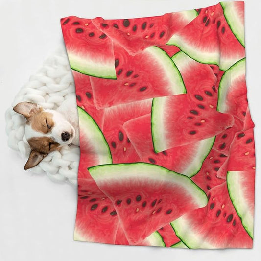 Double Sided Pet Throw for Dogs Who Shed, Watermelon Fruit Summer Art, Reversible Blanket with Nubby Dot Side Catches Loose Fur for Easier Furniture Cleanup