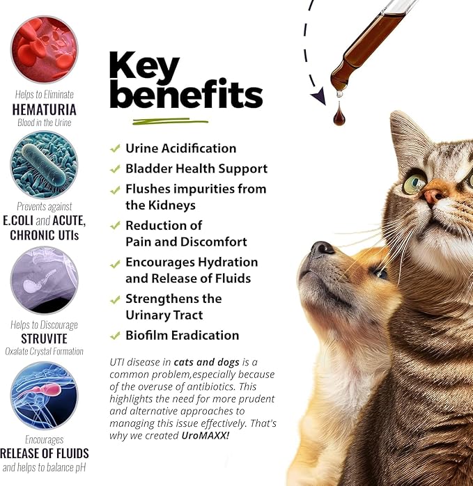 Cat & Dog Urinary Tract Treatment, Bladder & Kidney Support for Dogs and Cats, Powerful Yet Gentle Pet Care, with Liquid Cranberry & Glucosamine, Salmon Flavor, 6 oz Bottle, 1 Pack