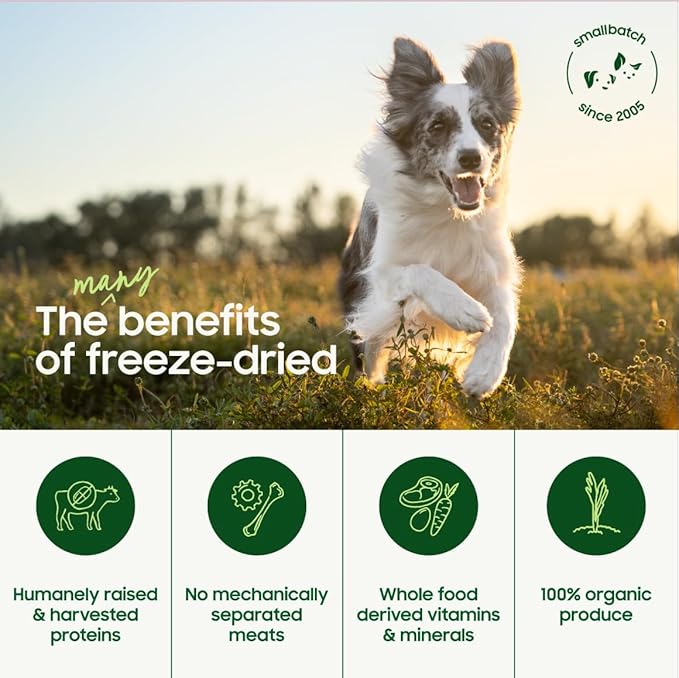 smallbatch Pets Freeze Dried Raw Dog Food, Beef Recipe, 14 oz, Organic High Protein Dog Food, Grain Free, Made in The USA, Humanely Raised Meat, Single Protein, for Picky Eaters, Hydrate & Serve