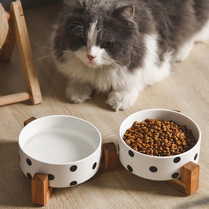 Petygooing Ceramic Dog Bowl Set with Stand,Cat Pet Food and Water Dishes,Small Dog Bowls Anti -Slip Set of 2 Cat Bowls Pet Food Dish Small Size Pet (13.5OZ/5.1 in) Black Dot