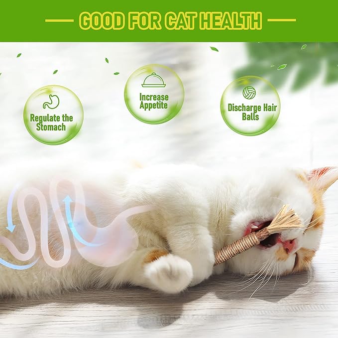 BAWAN Catnip Toys‖ Silvervine for Cats: Cute Cat & Kitten Toys for Indoor Cats Interactive‖ Cat & Kitten Teething Chew Toys for Aggressive Chewers‖ Silvervine Sticks Cat Dental Toy (1PCS)