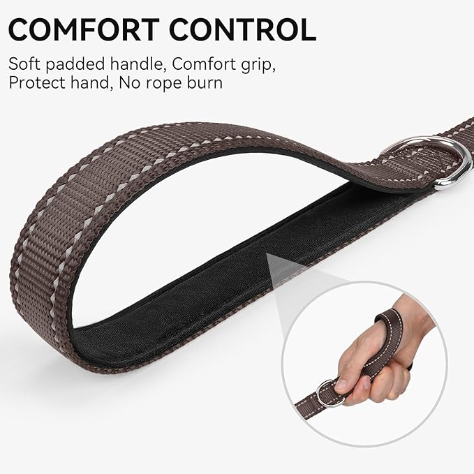 Joytale Double-Sided Reflective Dog Leash, 4 FT, Padded Handle Nylon Heavy Duty Leashes for Medium & Large Dogs Walking, Brown