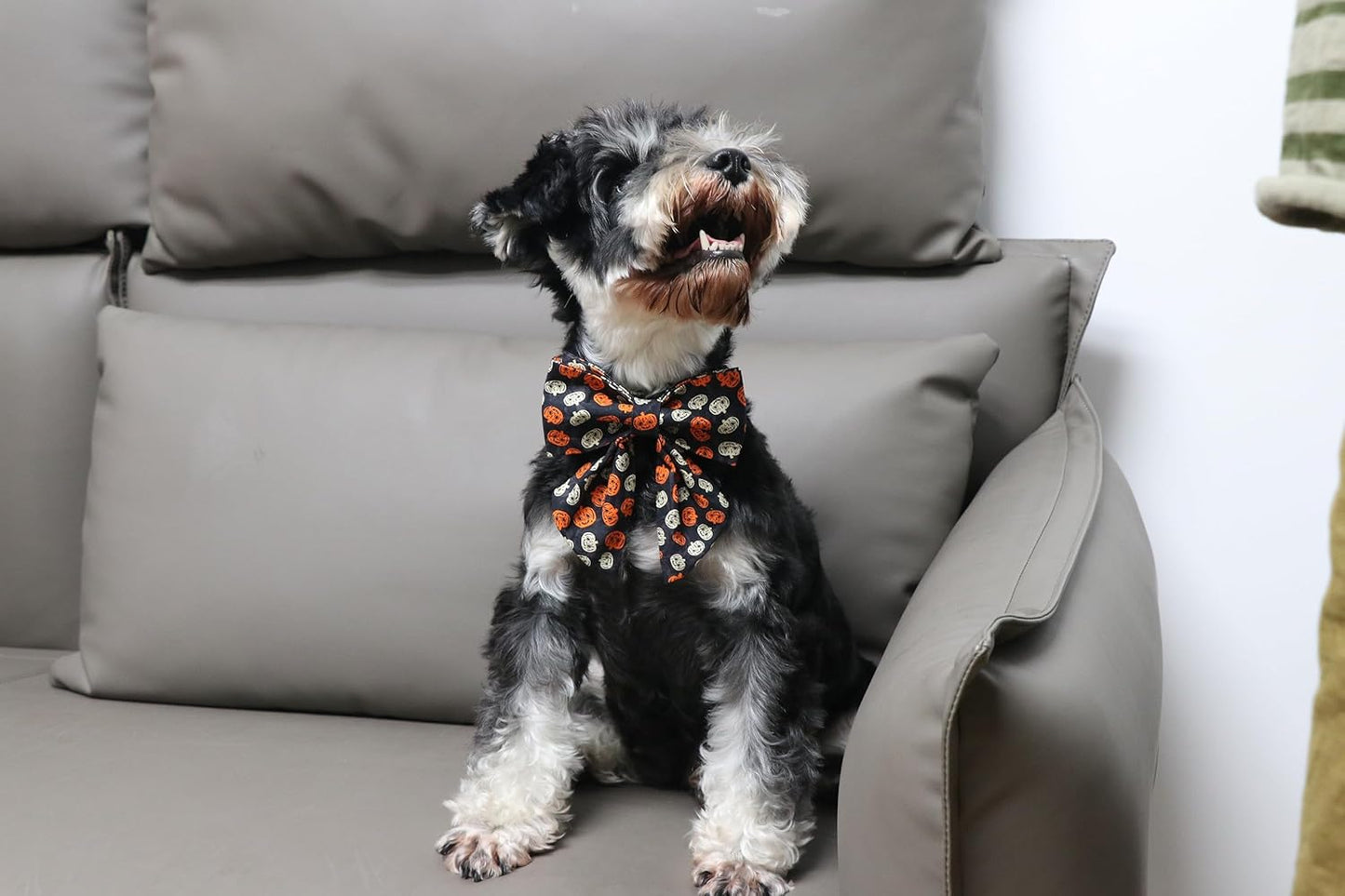 Lionet Paws Halloween Dog Collar with Bowtie - Cute Cotton Adjustable Black Bowtie Dog Collar with Metal Buckle for Small Medium Large Dog Girl Boy Gift, L, Neck 16-24in