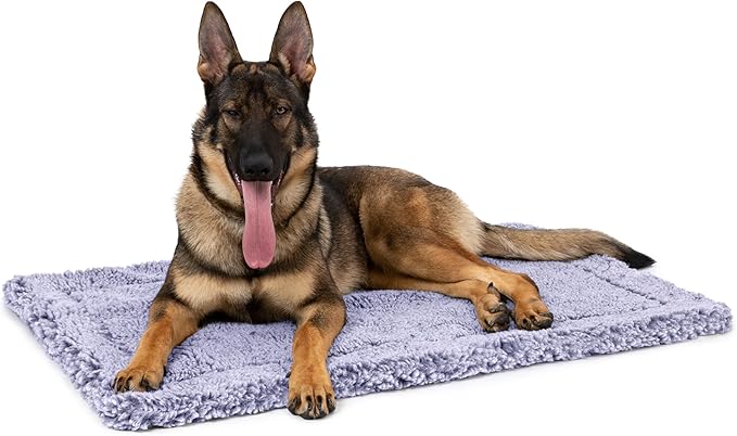 Stoutwool Indestructible Dog Bed - Fluffy Chew Proof Dog Crate Pad - Tough Kennel Pad for Aggressive Chewers - Ideal for Extra Large Breeds & Fits 48-Inch Crate - 47"x29", Jacaranda