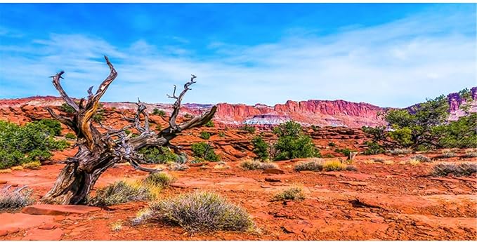 AWERT 72x24 inches Reptile Habitat Background Blue Sky Oasis Orange Desert Terrarium Background Durable Polyester Background