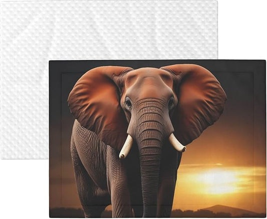 Waterproof Dog Blanket Soft Pet Blanket for Puppy Cat, Fleece Cat Throw Blankets for Furniture Bed Couch Sofa Reversible - Elephant Sunset in Kenya