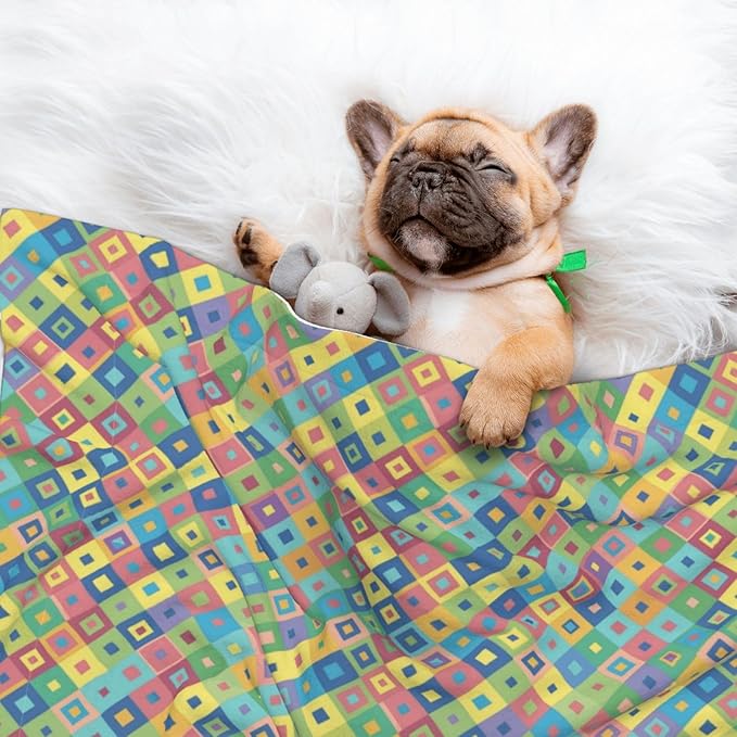 Double Sided Plush Pet Blanket with Cozy Dot Texture and Smooth Reverse, Rainbow Diagonal Plaid, Reversible Throw for Dogs Cats on Couches Beds Crates