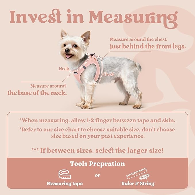 rabbitgoo Small Dog Harness, Step-in Soft Mesh Puppy Vest with Safety Buckle, Breathable Reflective Pet Harness for Extra Small Dogs, Pink XXXS