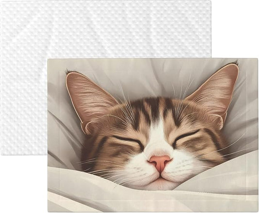 Waterproof Dog Blanket Soft Pet Blanket for Puppy, Fleece Cat Throw Blankets for Furniture Bed Couch Sofa Reversible - Sleeping Cat in Blanket