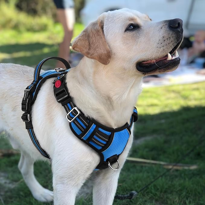 rabbitgoo Dog Harness for Large Dogs, No Pull Pet Vest with 3 Buckles, Adjustable Soft Padded Pet Harness with Easy Control Handle and Reflective Strips, Blue, L
