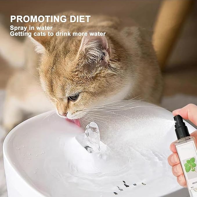 Kitty Joy Herbal Cat Joy, Herbal Cat Joy Spray, Celery Pets Catnip Spray, Catnip Spray for Indoor Cats, Cat Calming Spray, Anti Scratch Cat Spray, Cat Training Spray with Catnip, Cat Nip Spray (3PCS)