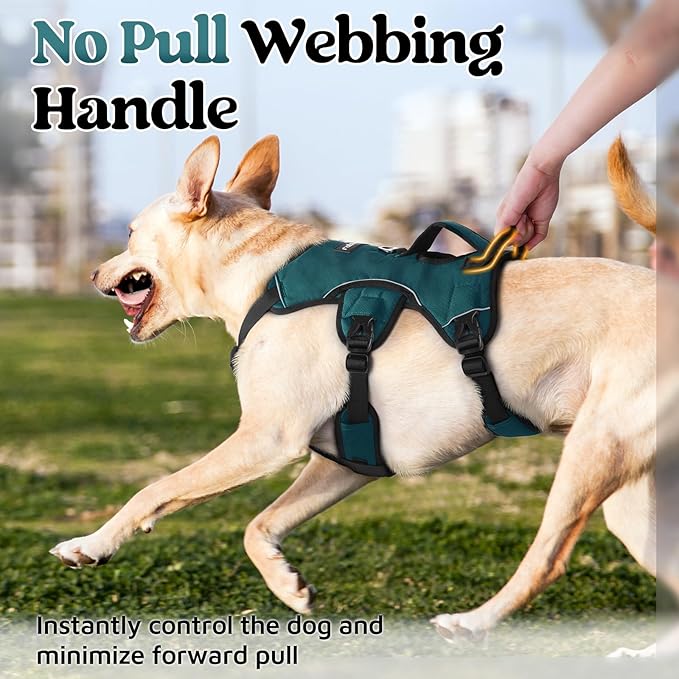 rabbitgoo Escape Proof Dog Harness, Soft Padded Full Body Pet Harness, Reflective Adjustable No Pull Vest with Lift Handle and Leash Clip for Large Dogs Walking Hiking Training, Dark Green, L