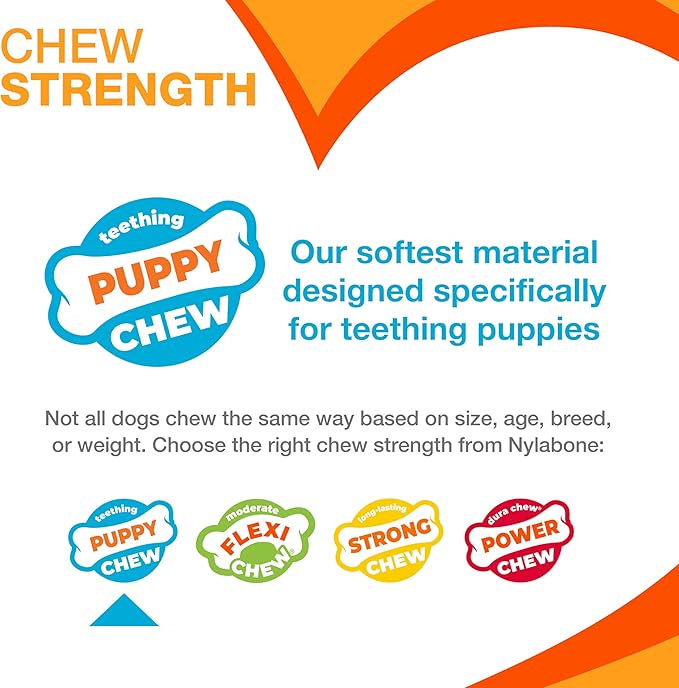 Nylabone Ring Bone & Teething Bone Puppy Chew Toy for Dogs, Soothing Puppy Teething Toys, Puppy Enrichment Toys, Long Lasting Chicken Flavor, Medium Dogs - Up to 35 lbs, 2 Pack