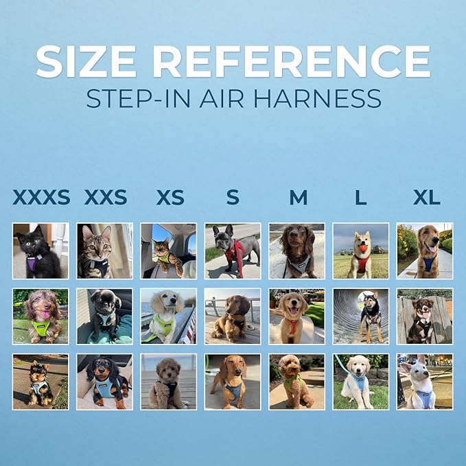 Best Pet Supplies Voyager Step-in Air Harness - All Weather Mesh, Reflective, No Pull Harness for Dogs, Cats - Secure with Hook & Loop Fastener, Buckle, Double D-Rings - Royal Blue/Black Trim, M