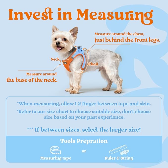 rabbitgoo Small Dog Harness, Step-in Soft Mesh Puppy Vest with Safety Buckle, Breathable Reflective Pet Harness for Extra Small Dogs, Blue & Orange XXXS