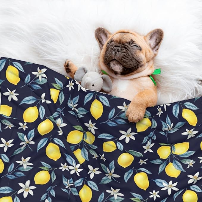 Pet Blanket for Travel and Home, Citrus Fruit Flower Lemon Green, Reversible Plush Dot Design with Soft Grip Texture on One Side Perfect for Car Seats Moving Vehicles