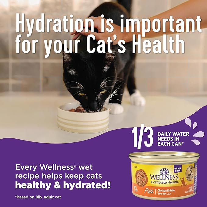 Wellness Complete Health Sliced Adult Wet Cat Food, Natural, Protein-Rich, Grain Free, 3 Ounce, 24 Pack, (Chicken Entrée)