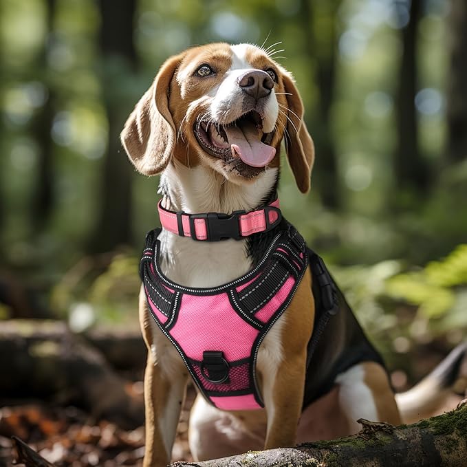 Joytale Reflective Dog Collar, Soft Neoprene Padded, Metal D-Ring, Nylon Pet Collar Adjustable for Extra Large Dogs, Neon Pink, XL