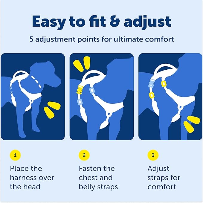 PetSafe Easy Walk Comfort No-Pull Dog Harness - Better Walk Training Harness - Full Body Padded Design - Durable Fabric - 5 Point Adjustable Fit - Everyday Leash Training - Blue - X-Small