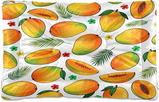 Mango Fruit Dog Beds Crate Pad Washable Pet Mat for Dogs Cats, Non-Slip Travel Bed Pad, Indoor Outdoor Kennel Pad 24x18in