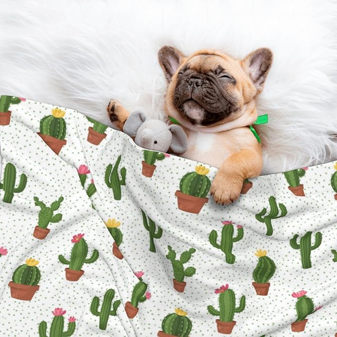 Reversible Pet Blanket for Sofa Protection Pet Comfort, Cactus Floral Bloom Flower Summer Tropical Watercolor, Double Sided Design with Cozy Nubby Nap Side and Durable Smooth Play Side