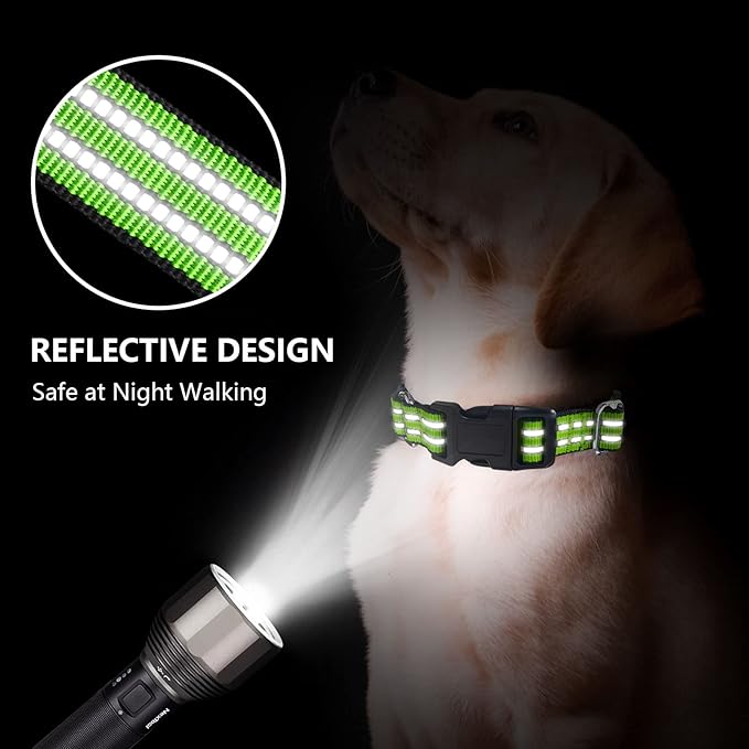 Martingale Dog Collar, Adjustable Nylon Reflective Collar with Buckle No Pull Dog Collar for Small Medium Large Dogs (Lime Green Medium)