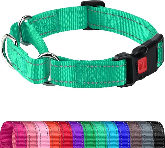 Joytale Martingale Collar for Dogs, Reflective Heavy Duty for Safety, Quick Release Buckle, Adjustable Nylon Collars for Small Dogs Walking Training, Teal,S
