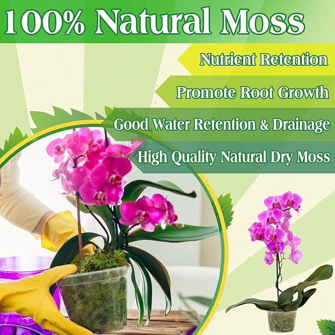 Halatool 1.1LB Green Moss for Potted Plants, 25QT Orchid Moss Potting Mix, Forest Moss for Indoor Plants, Indoor Potting Plant Moss for Repotting Terrariums Garden Reptiles