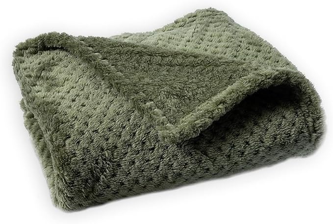 Pet Blanket Warm Soft Dog Blankets Washable Cat Throw Blankets Sofa Bed Couch Furniture Protector Cover for Small Medium Large Dogs Cats, Green, 20" x 28"