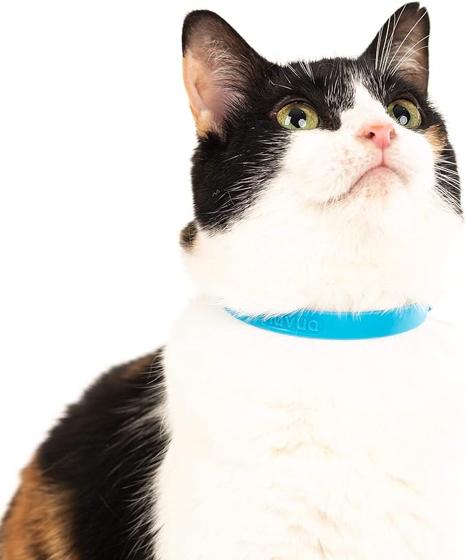 Breakaway Cat Collar - Soft, Comfortable, and Lightweight Safety Buckle Collar with ID Tag Ring for Outdoor Cats and Sensitive Skin Kittens by Nuvuq (6 ⅞" to 10 ¼", Blue)