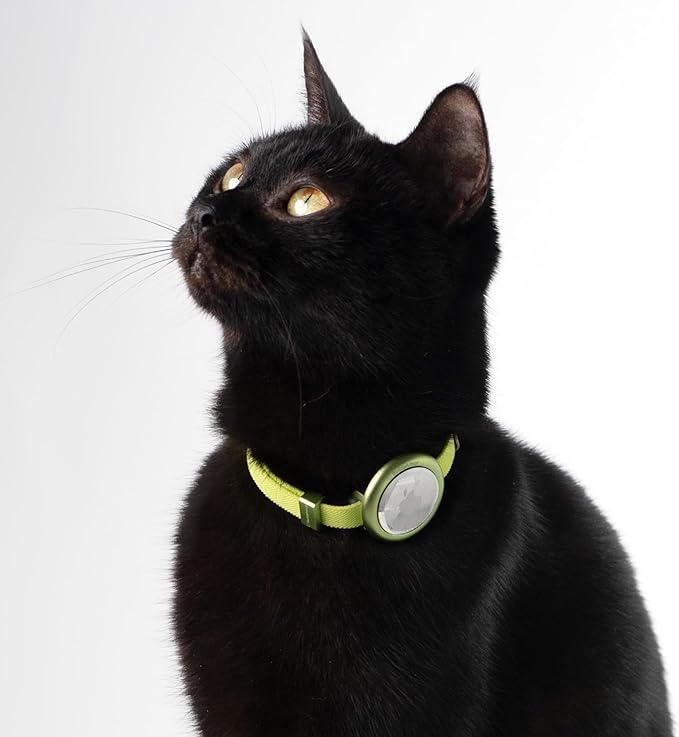 Safety Cat Collar Pro - U.S. IDA Gold Awarding Design, Elastic Quick Release Cat Collar with Buckle Non Breakaway - Lightweight for Kitten All Small Large Cats (Alpine Green, M 7.9-15.7")