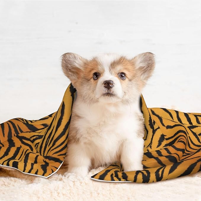 Two Sided Pet Cuddler Blanket for Anxiety Calming, Animal Print Tiger Black Gold, Reversible Plush Design with Bubble Dot Pattern Provides Familiar Surface Anywhere