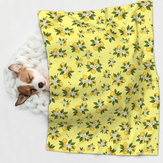 Reversible Pet Blanket for Easy Cleaning Maintenance, Buds Ripe Fruits Lemons Flowers White, Double Sided Plush Dot Design Means Double Use Between Washes for Convenience
