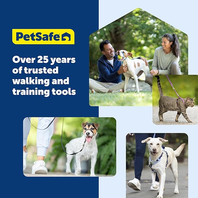 PetSafe KeepSafe Collar for Dogs - Protects Against Collar Accidents - Long Lasting - Durable - Adjustable - Breakaway - Outdoor-Safe - Large - 1 In. Wide - Black