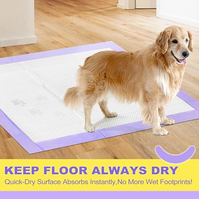 MIZOK Dog Pee Pads 36x36in, Extra Large Pee Pads for Dogs, Keeps Fresh & Clean, Ultra Absorbent Up to 11 Cups, 6 Layers Leak-Proof, Purple Lavender Color (30 Counts)